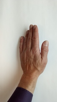 angled photo of rear of hand