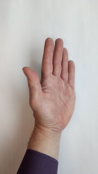 angled photo of palm of hand