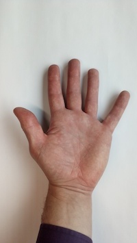 photo of palm of hand